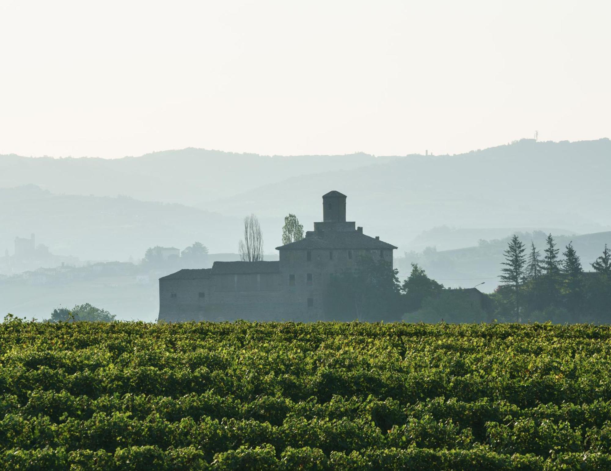 Vineho Barolo Exterior foto