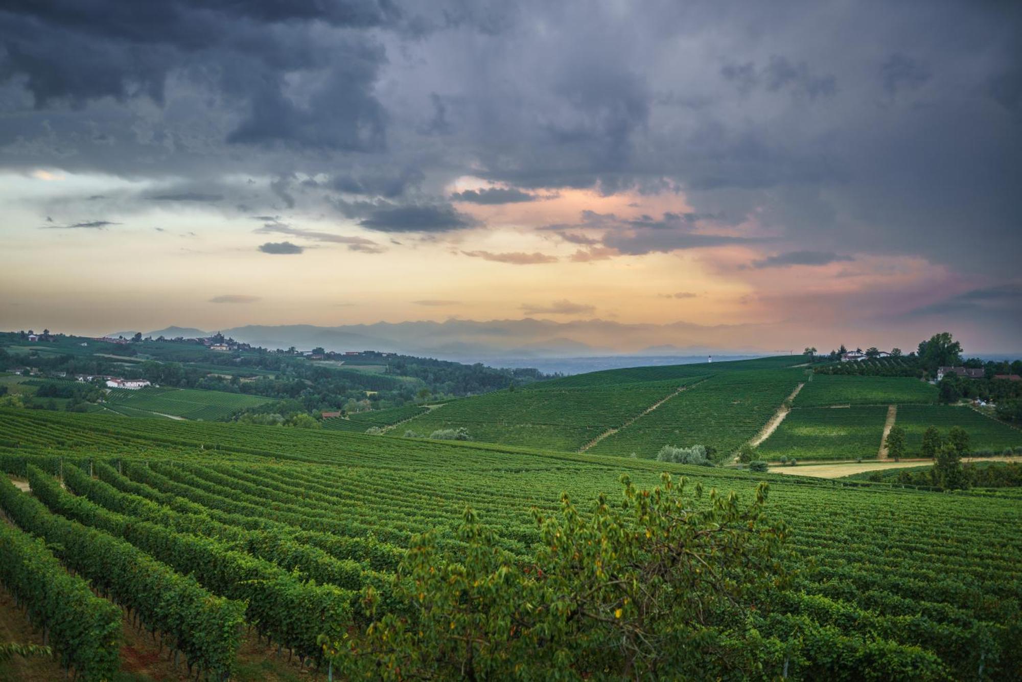 Vineho Barolo Exterior foto